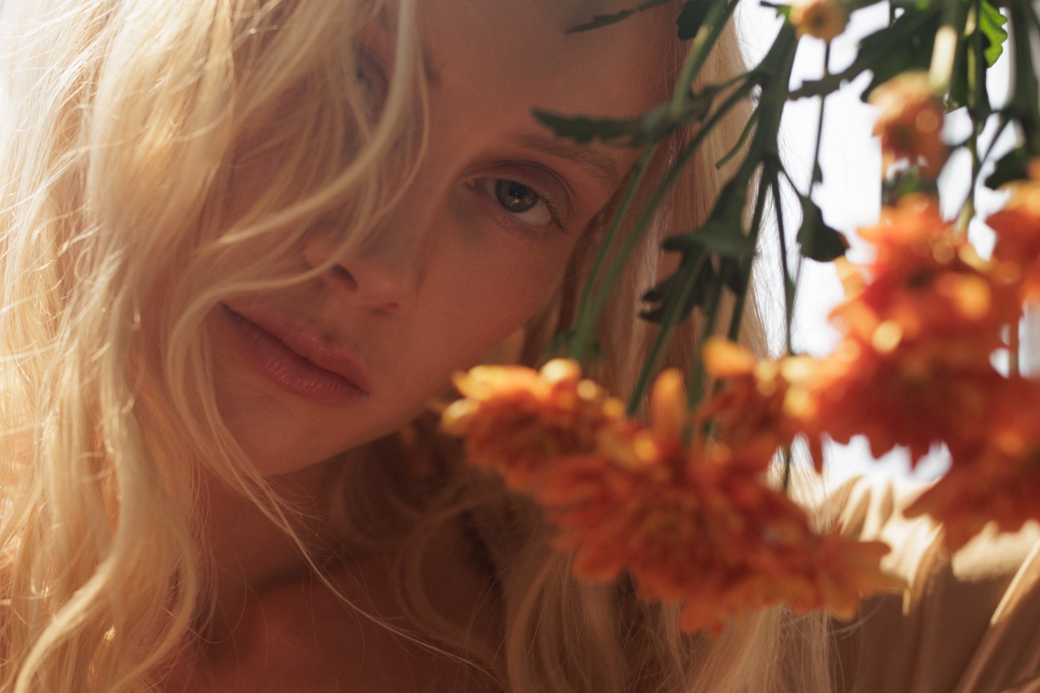 Elizabeth Shuhlin BOOK110