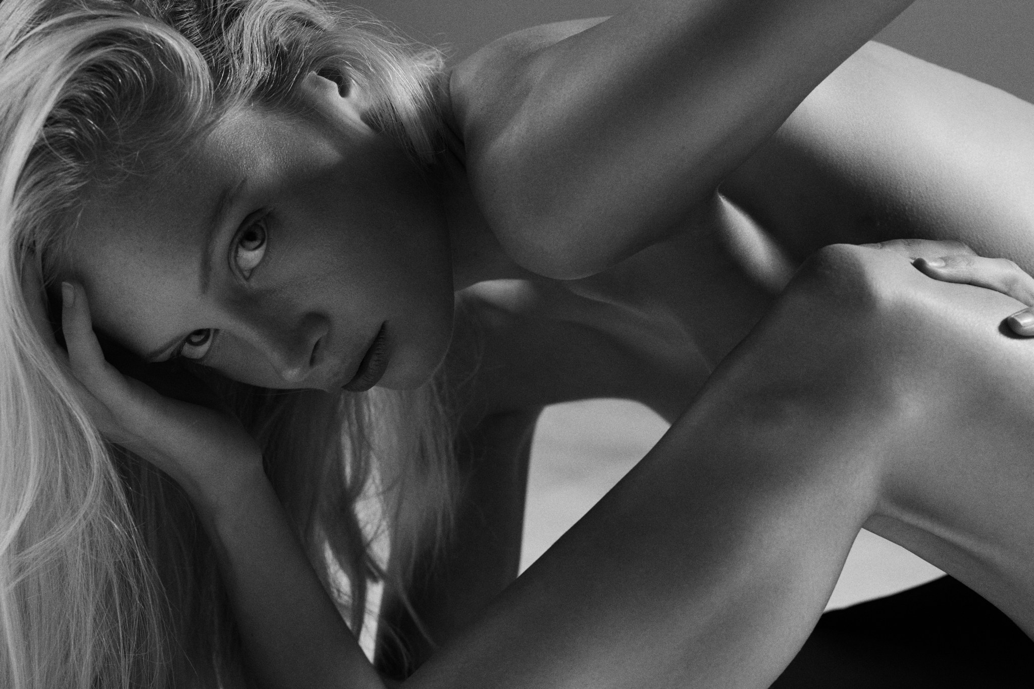 Elizabeth Shuhlin BOOK154