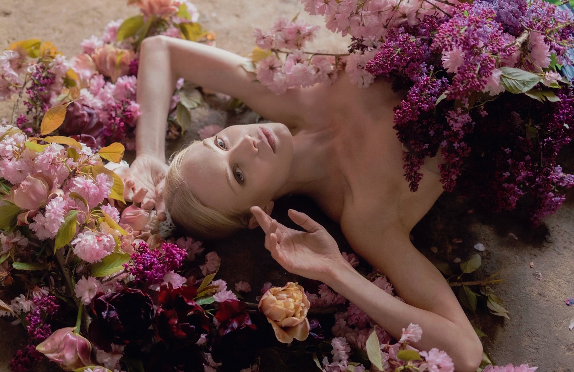 Elizabeth Shuhlin BOOK229