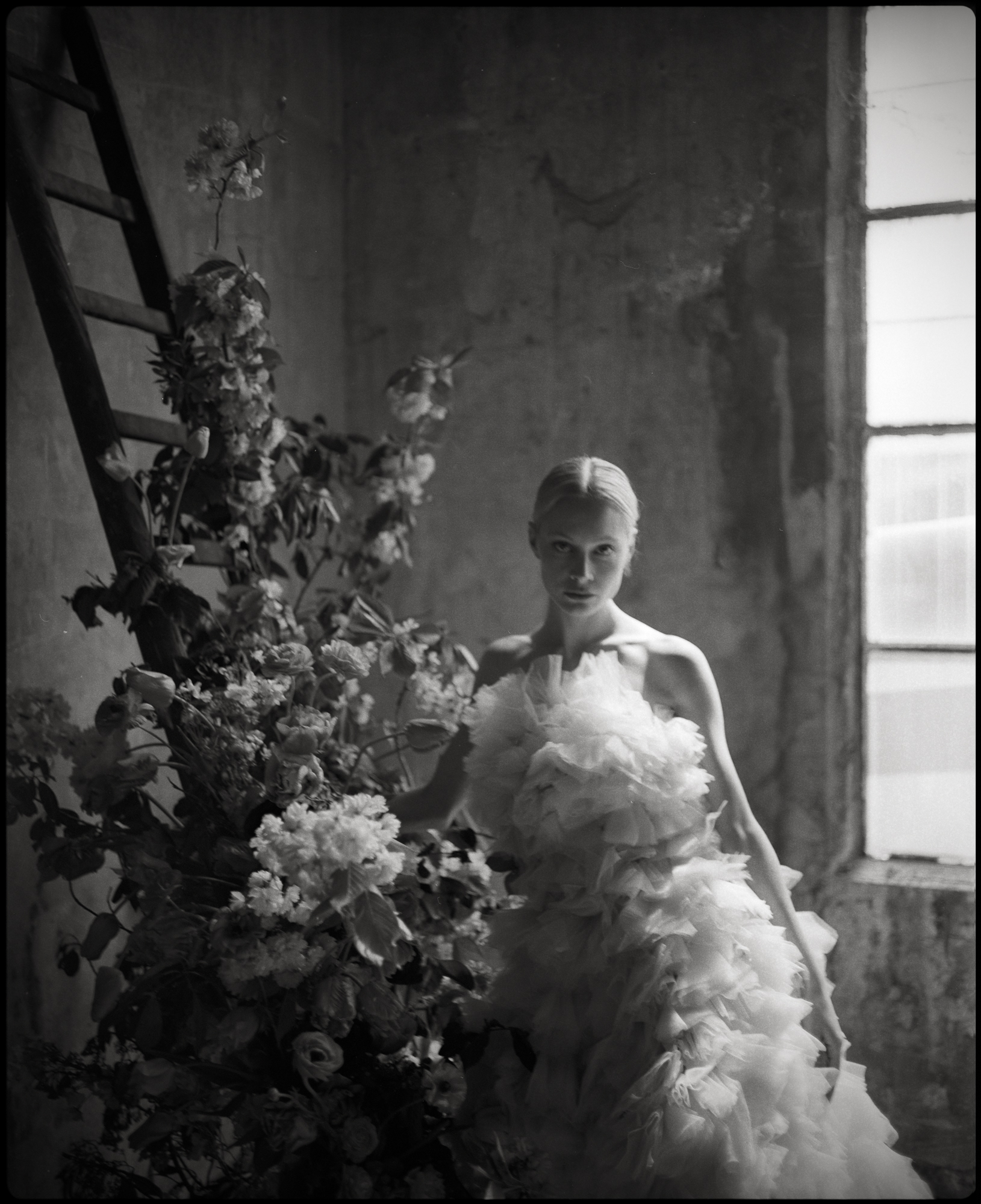 Elizabeth Shuhlin BOOK300